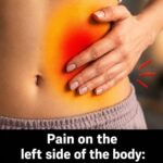 # Learn How to Clean 15 Kilograms of Waste from Your Colon in One Night