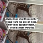 Here’s a simple old-fashioned trick for cleaning an oven