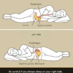Back pain? It’s over with these 4 stretches…Make it a habit!