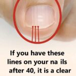 12 nasty things you do in old age that everyone notices, but no one dares to tell you