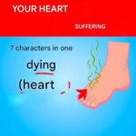Brittle or weak nails may signal… see more
