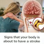 The miracle seed that cures everything…see more