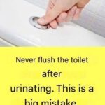 How to Get Rid of Milia: Those Annoying Fat Cysts